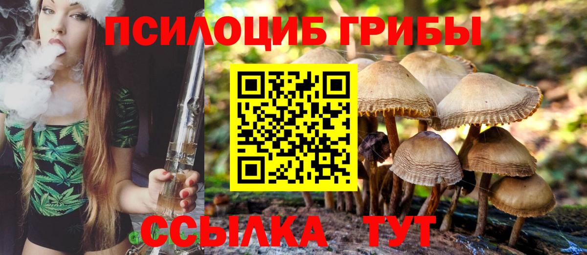 Ртищево  Галлюциногенные грибы Psilocybe  Вход с VPN 